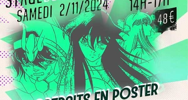 Stage MANGA de Novembre 2024